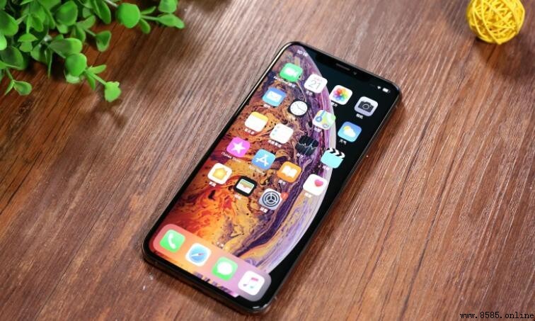 Apple iPhone XS Max 螢幕尺寸解析