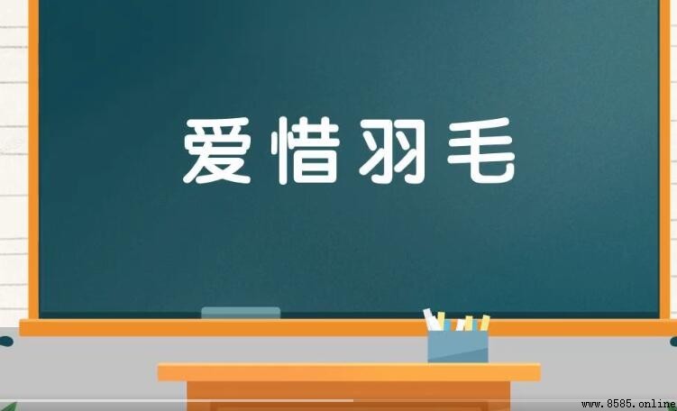 愛惜羽毛成語解析:含義、用法與近反義詞
