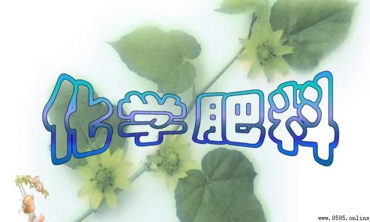 铵态氮肥的特性解析