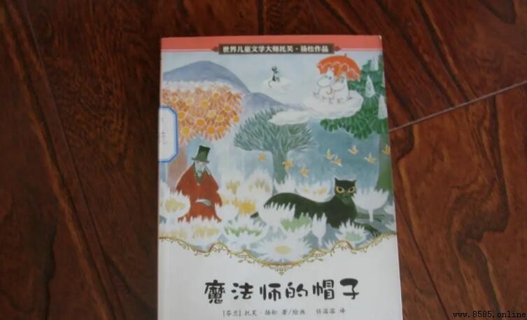 《魔法師的帽子》讀後感寫法指南與範例分析