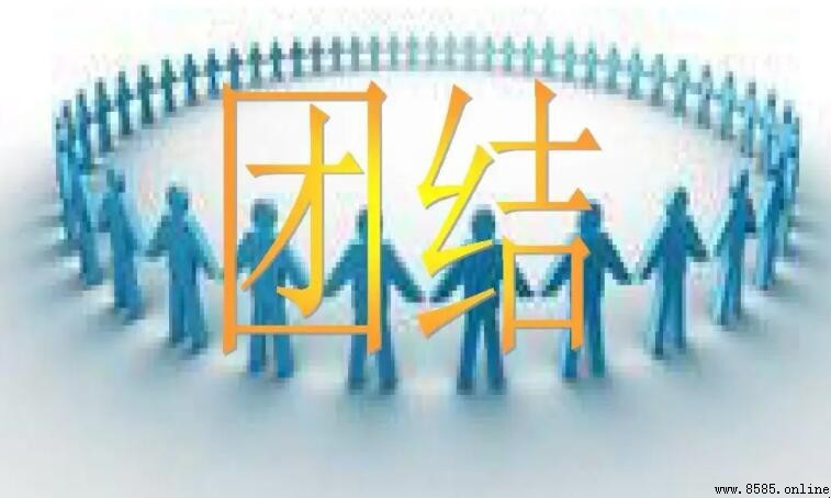 團結合作的諺語有哪些
