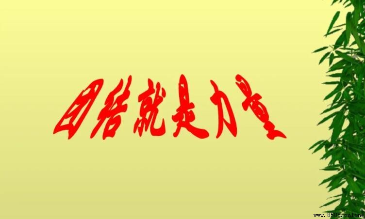 如何撰写关于团结合作的作文