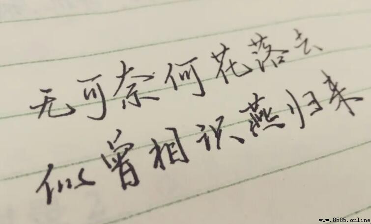 無可奈何花落去的意思