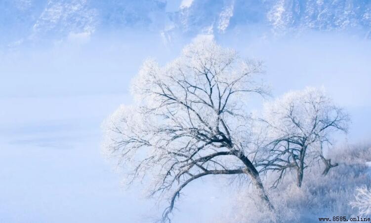 什麼的大雪如何填空？常用詞彙與搭配指南