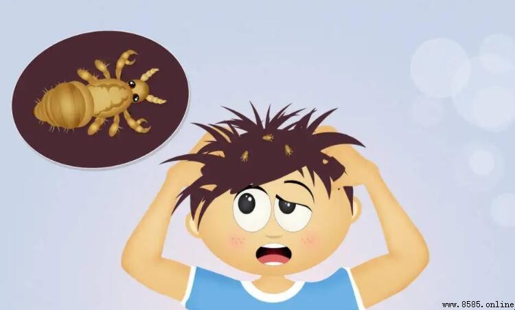 虱子卵多久变成虱子
