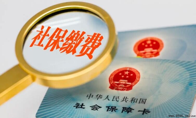 社保繳費檔次可以調嗎？彈性就業人員必讀的調整規則
