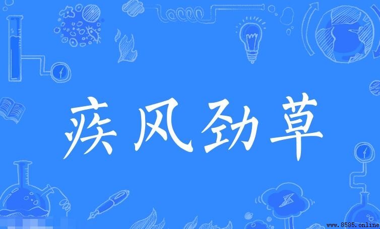 疾風勁草怎麼造句:12個實用例句解析