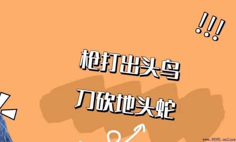 槍打出頭鳥的含義與道理