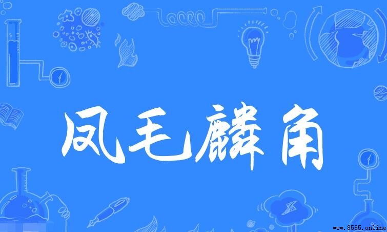 形容數量少的成語有哪些