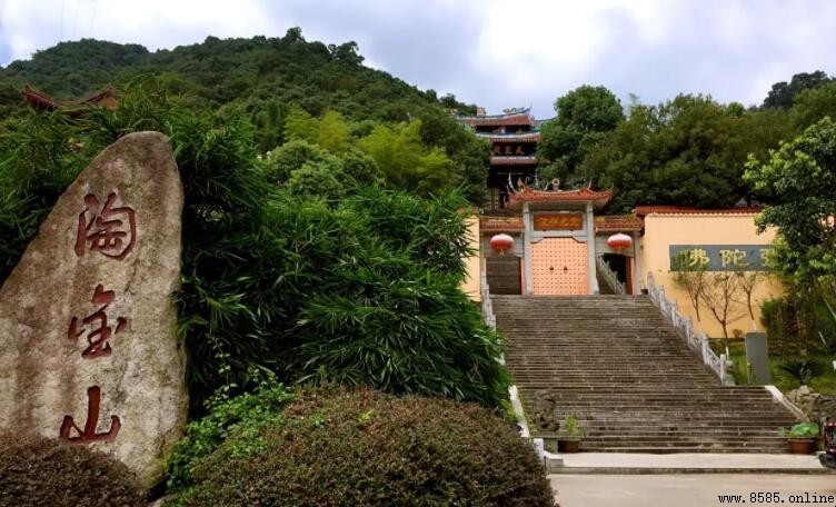 美丽淘金山作文写作指南