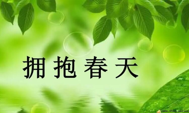 如何撰写《拥抱春天》作文:步骤与技巧