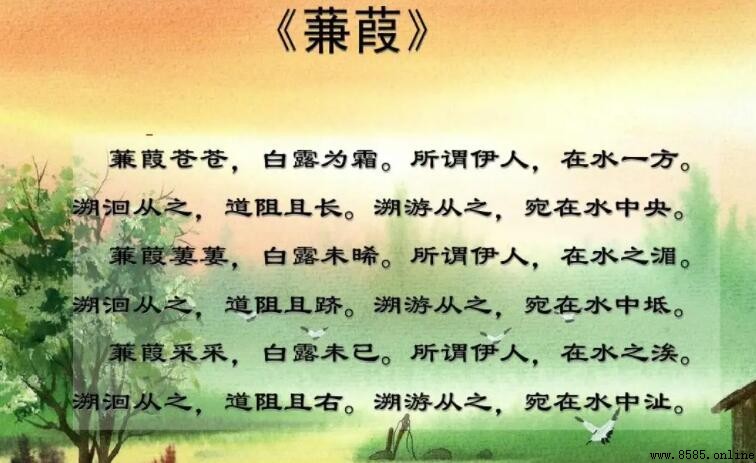 溯洄从之的意思解析