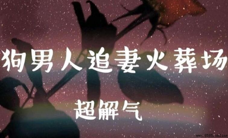 追妻火葬場是什麼意思