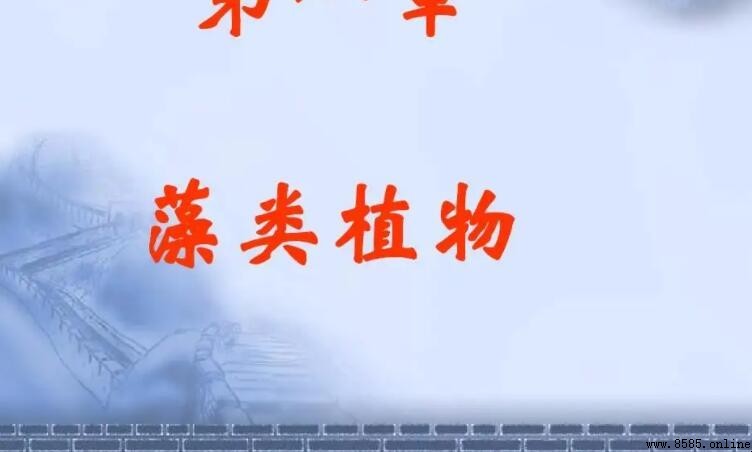 常見藻類植物介紹