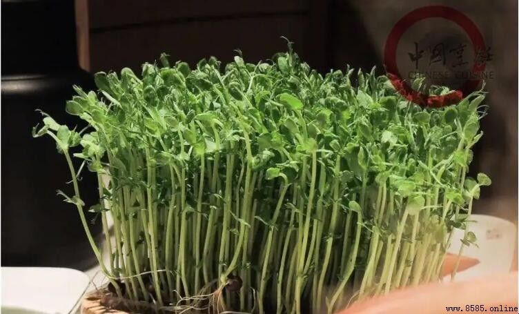 什麼是芽苗菜