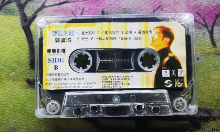 《聽風的歌》歌詞含「風中歌溫柔滿帶愛意」