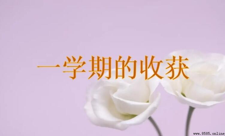 這一學期的收獲作文怎麼寫
