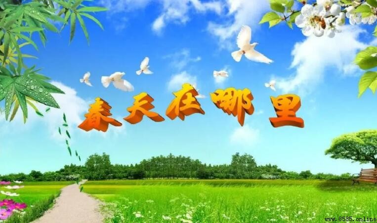 《春天在哪里》歌词：这里有红花呀这里有绿草下一句