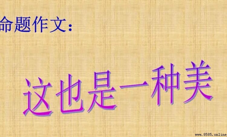 这也是一种美作文写作指南
