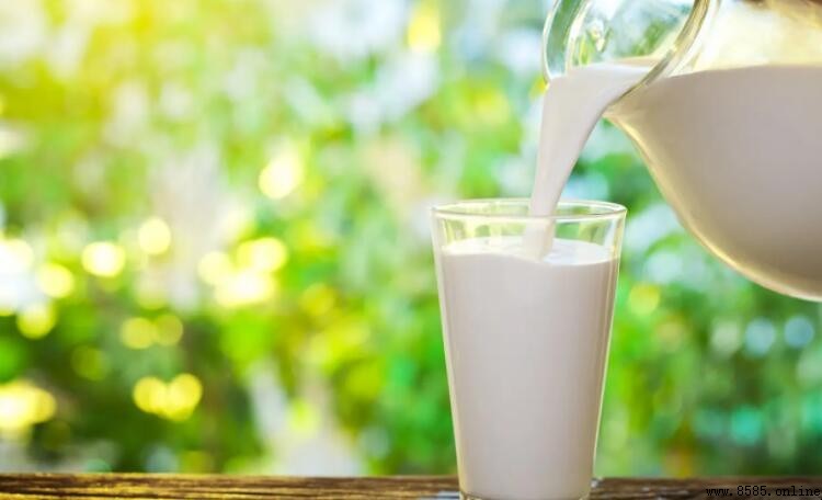 牛奶喝多了會上火嗎？科學解析牛奶的性質與功效