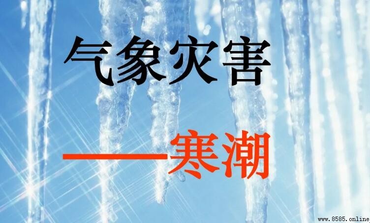 寒潮主要發生在哪裡?路線與影響地區完整解析