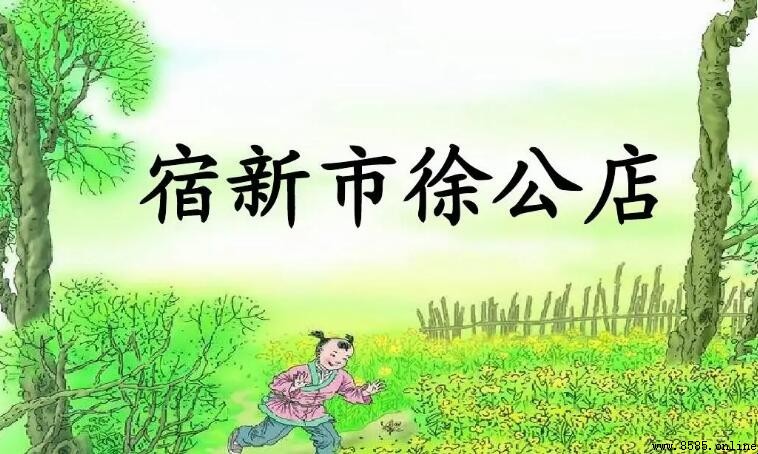 飛入菜花無處尋的含義與全詩詮釋