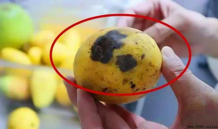 芒果變黑還能吃嗎?安全食用判斷方法