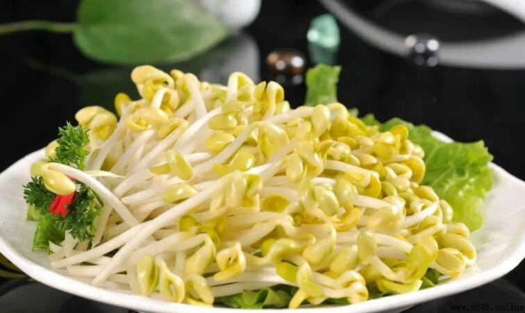 黃豆芽熱量高嗎？解析其營養價值與減肥適宜性