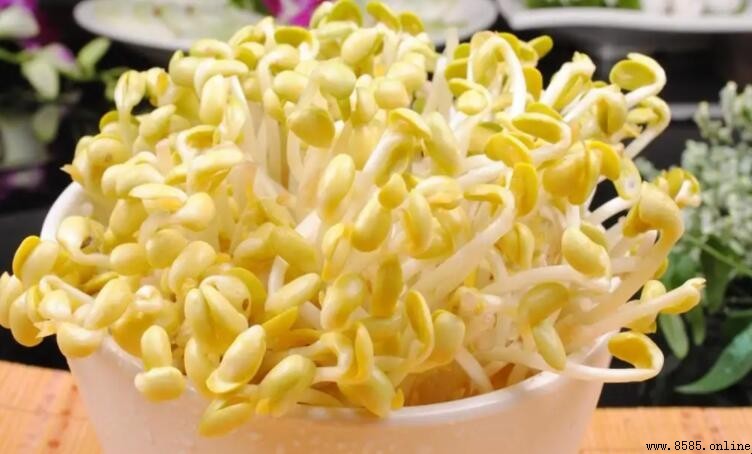 黃豆芽發綠能吃嗎