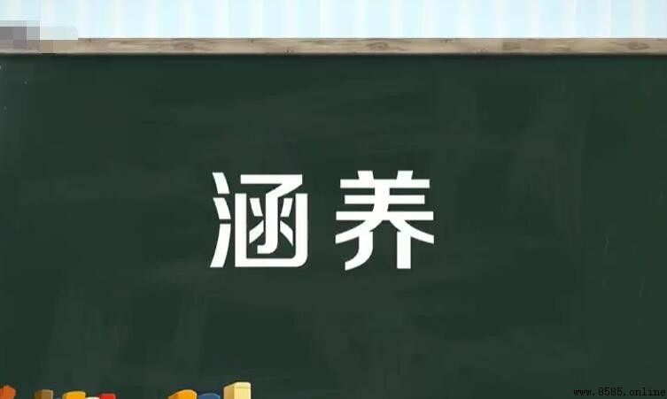 涵養與修養的區別：提升內在素質與外在表現