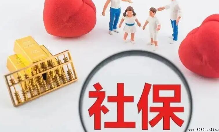 為什麼社保查不到繳費記錄?原因與解決方法解析