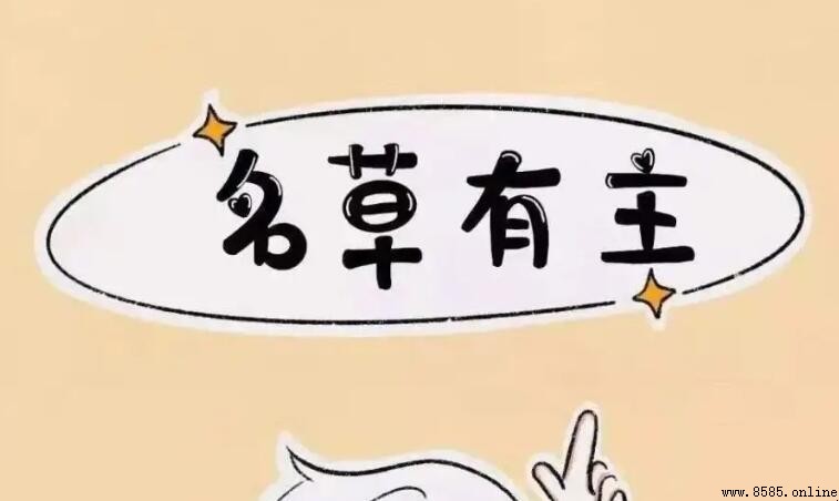 名花有主的意思與用法解析