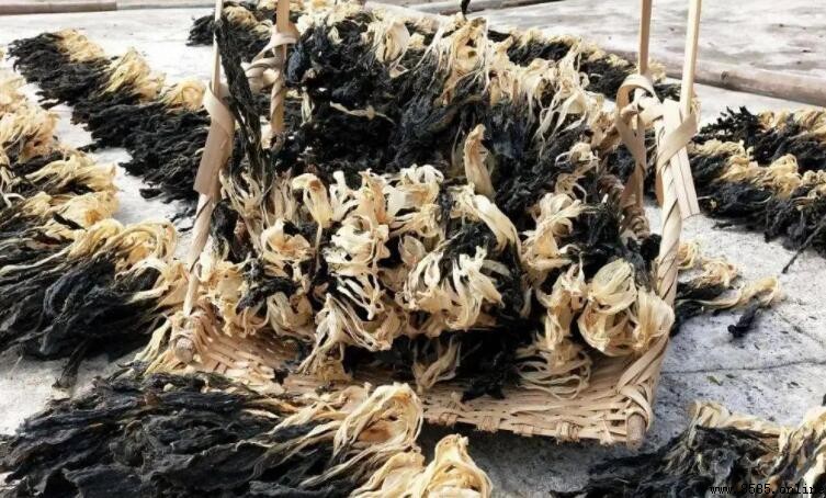 曬干後白菜的保存方法