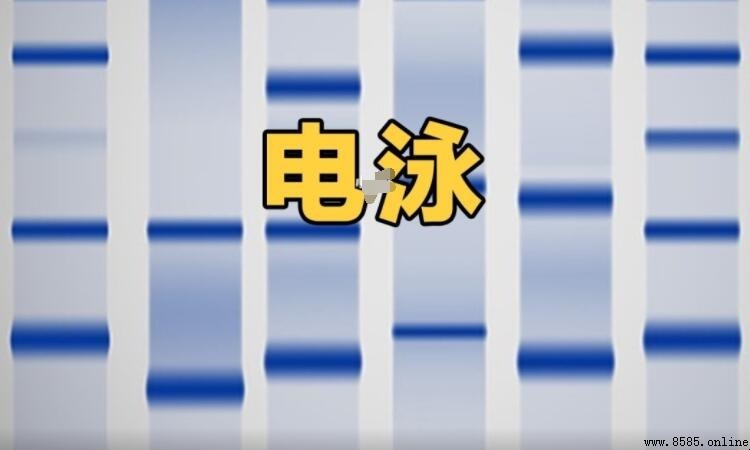 電泳與電鍍的差異比較