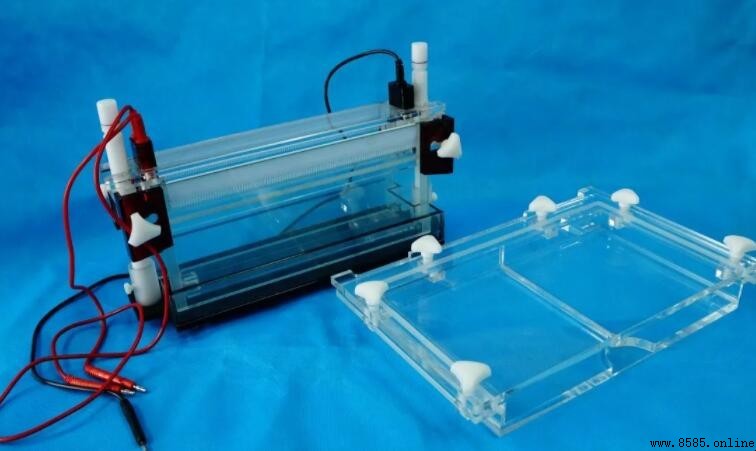 電泳的作用與優勢解析