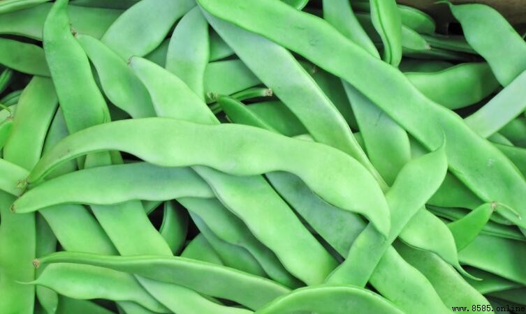 扁豆角是否有毒？食用注意事項及中毒症狀解析