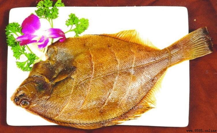 偏口魚與多寶魚差異比較:種類、體型與分布