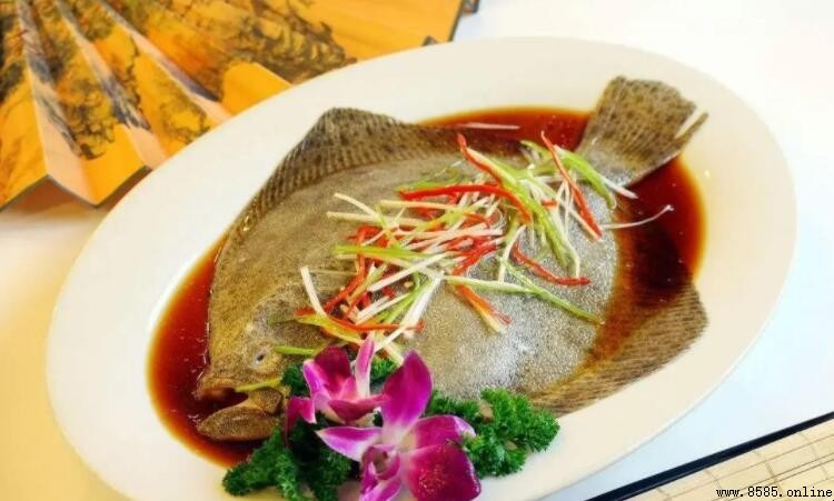 偏口魚與多寶魚差異比較:種類、體型與分布