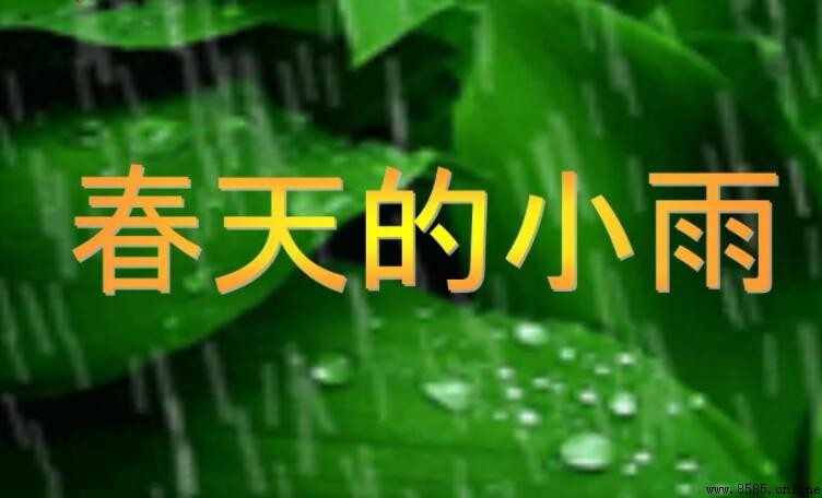春天的小雨作文怎麼寫 - 範文導引