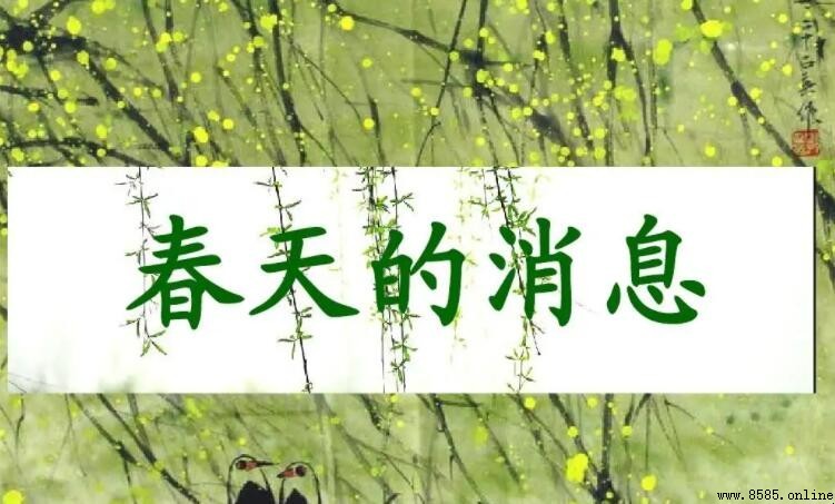 如何描写春天的讯息 - 作文技巧分享