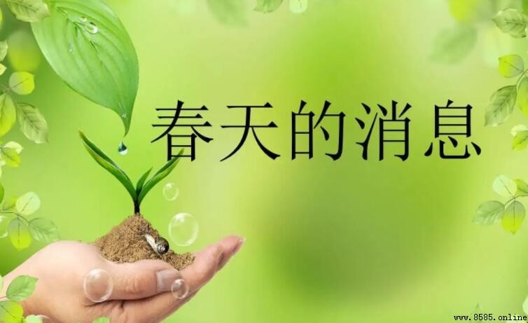 關於春天的消息的詩歌有哪些