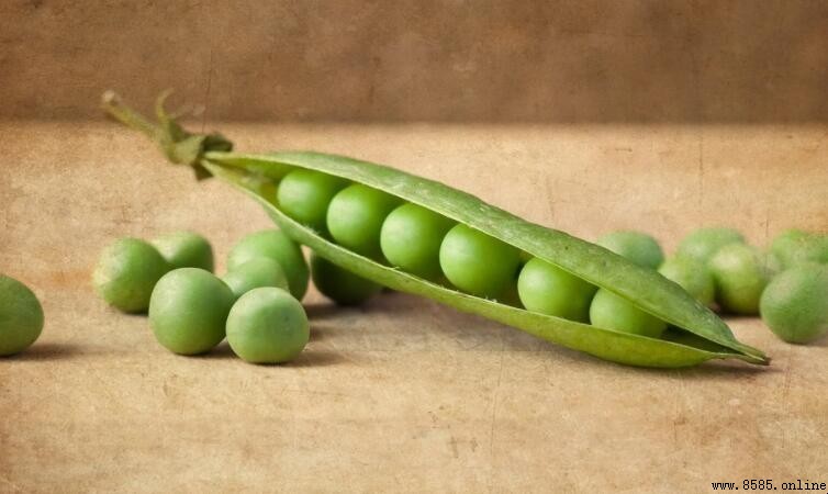鷹嘴豆和豌豆的差異是什麼?外形、區域與吃法大對比