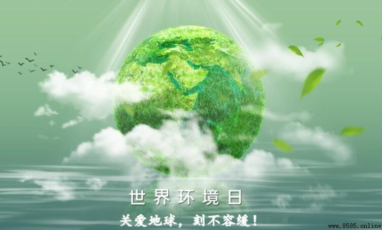 保護環境手抄報內容精選:行動指南與理念傳達