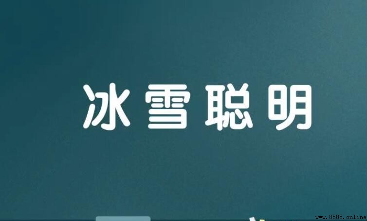 冰雪聪明怎么造句