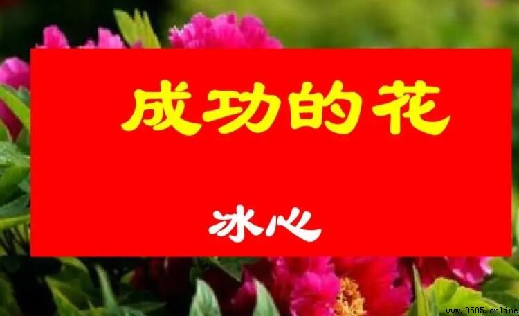 《成功的花》讀後感怎麼寫|範文與實用寫法指南