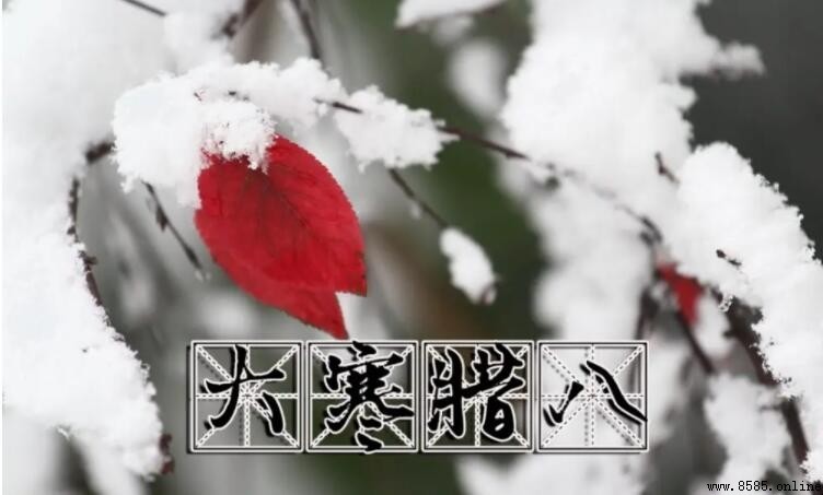 臙七臙八凍死寒鴉類似俗語集結