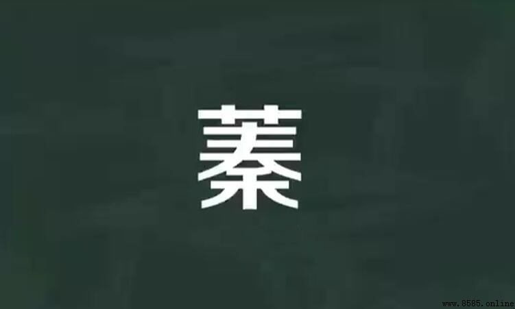 草字頭加秦是什麼字?解析「蓁」字的讀音、意義與出處