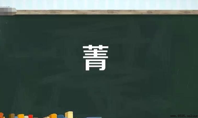 草字頭加青是什麼字？揭秘「菁」字的含義與演繹