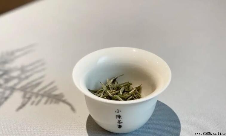白茶的主要产地有哪些