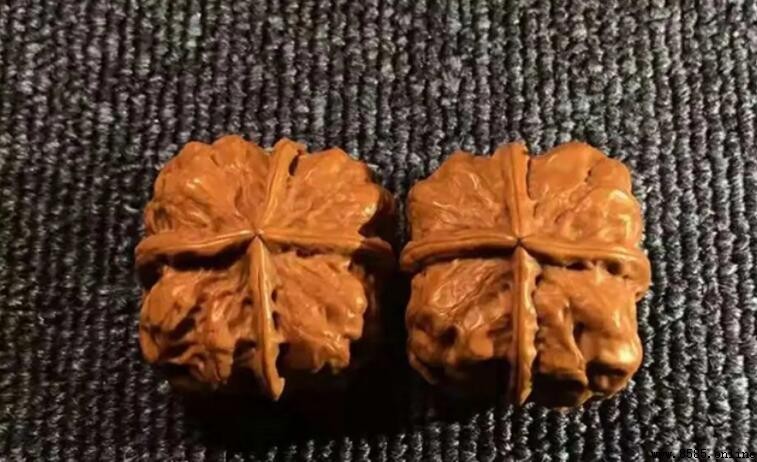 铁核桃和麻核桃的区别是什么